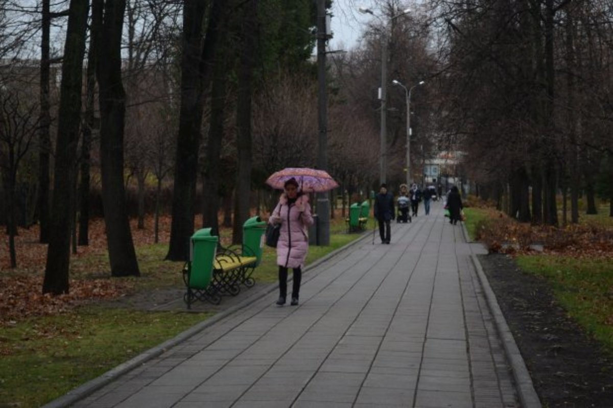 В Москве и области объявлен «оранжевый» уровень погодной опасности