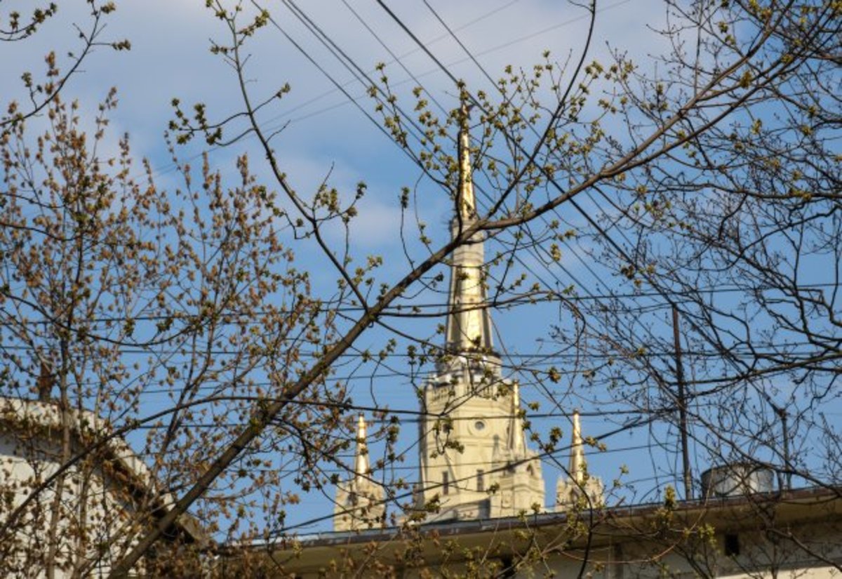 Сегодня в Московском регионе облачно без осадков