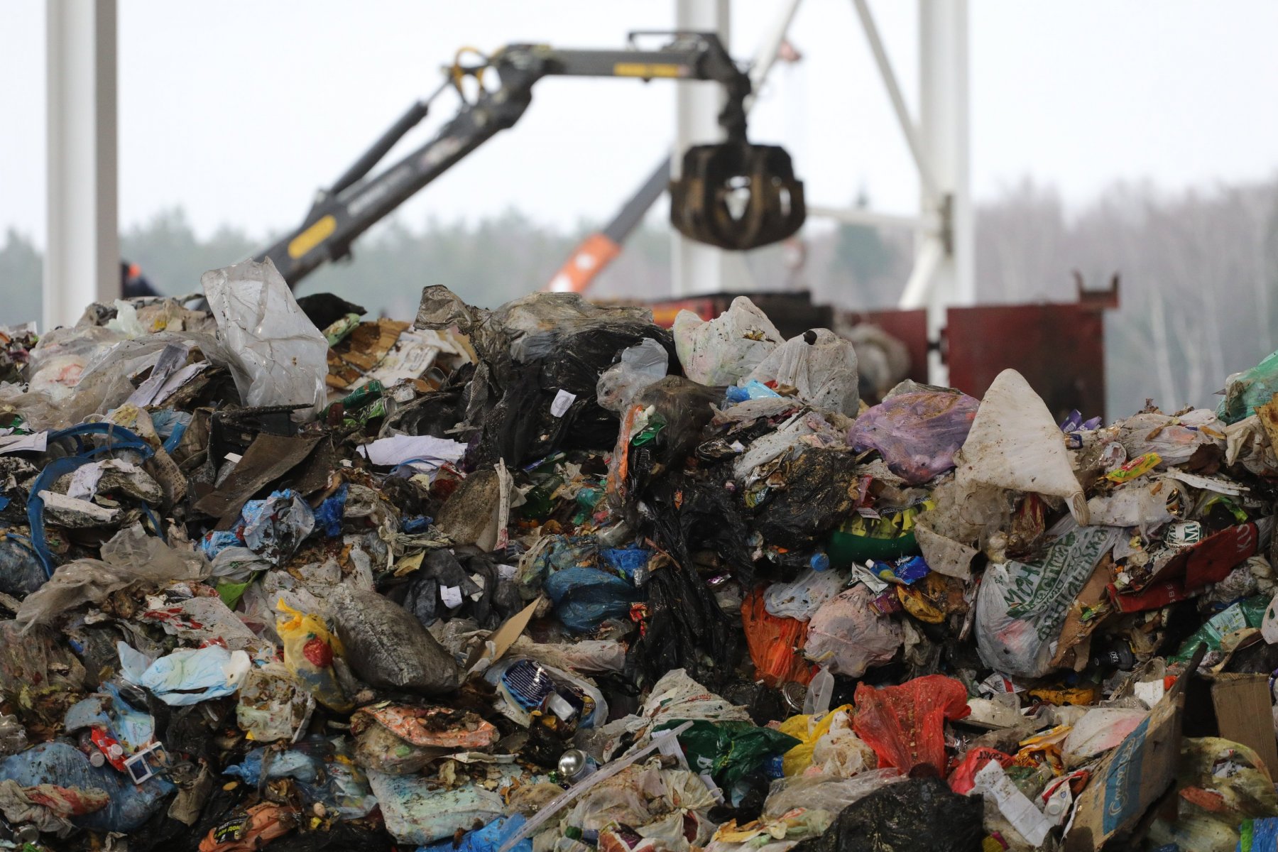 20 тысяч кубометров мусора вывезено из лесов Московской области в этом году