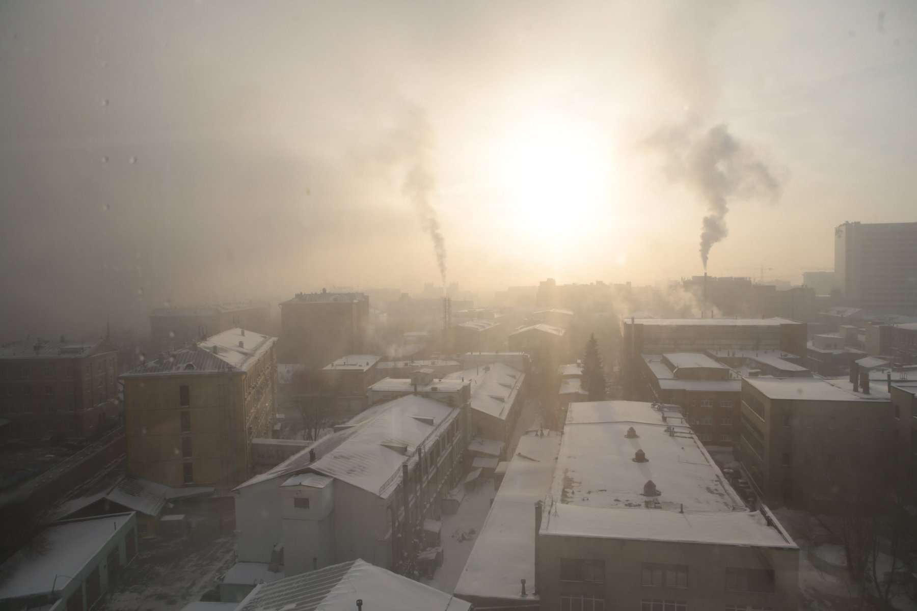В Московской области туман сохранится до 11 часов понедельника 