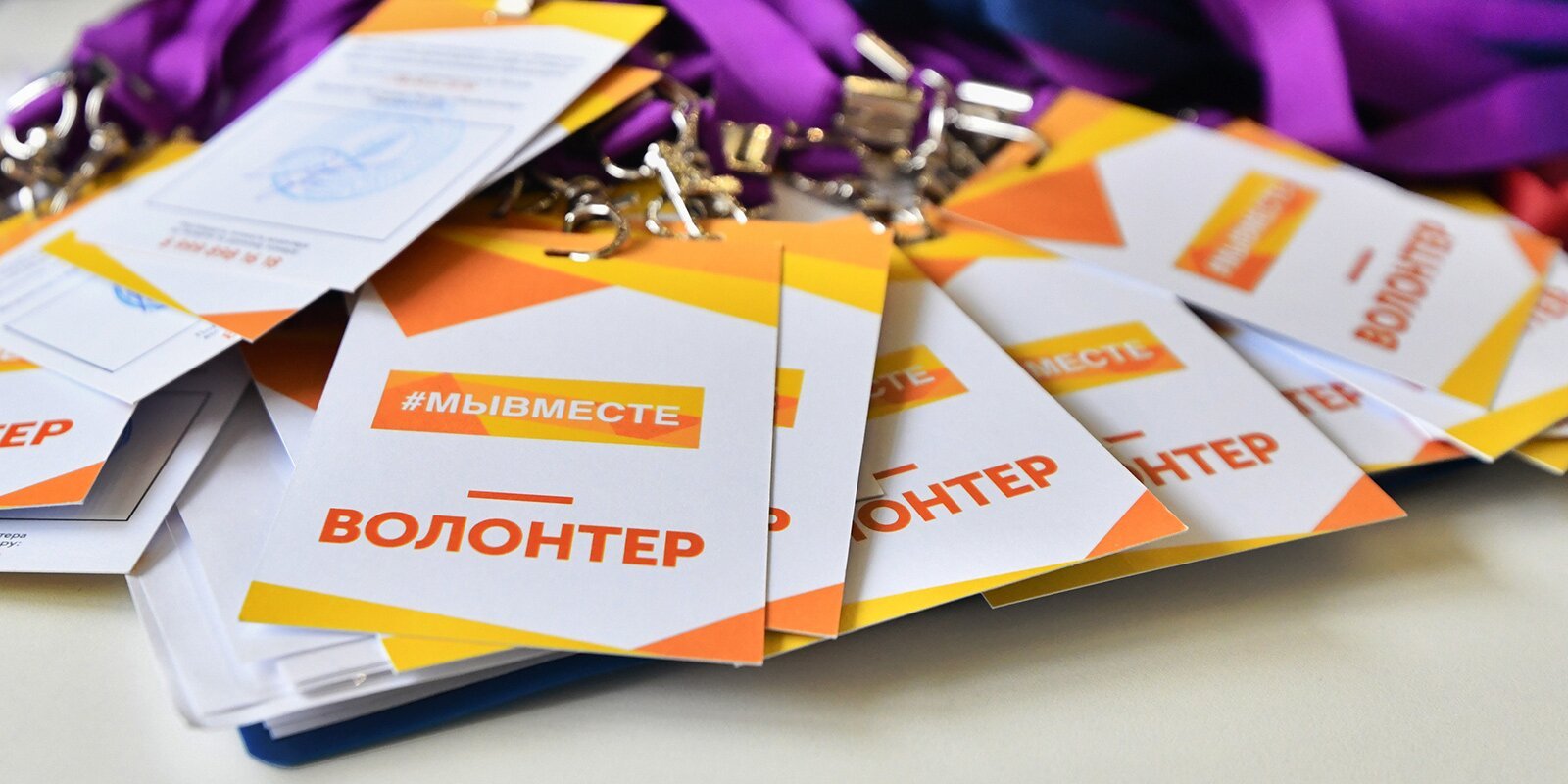 Свыше 108 тысяч активных жителей приняли участие в опросе по поводу волонтерского развития в Москве 