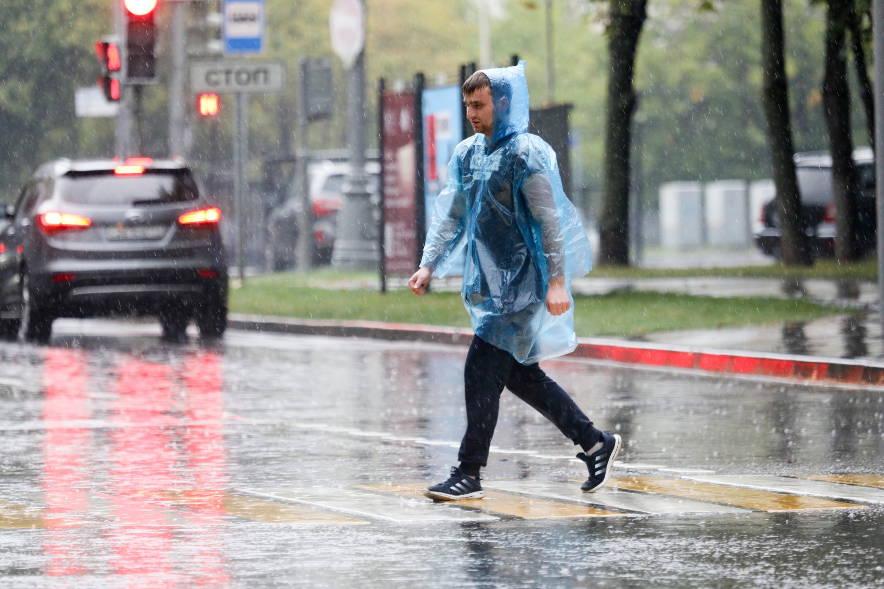 Москвичей предупредили о сильном ливне в ночь на 3 мая 