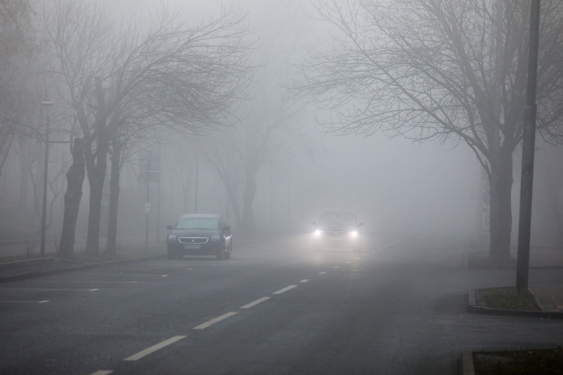 В Москве не выявили превышения концентрации загрязняющих веществ после тумана 