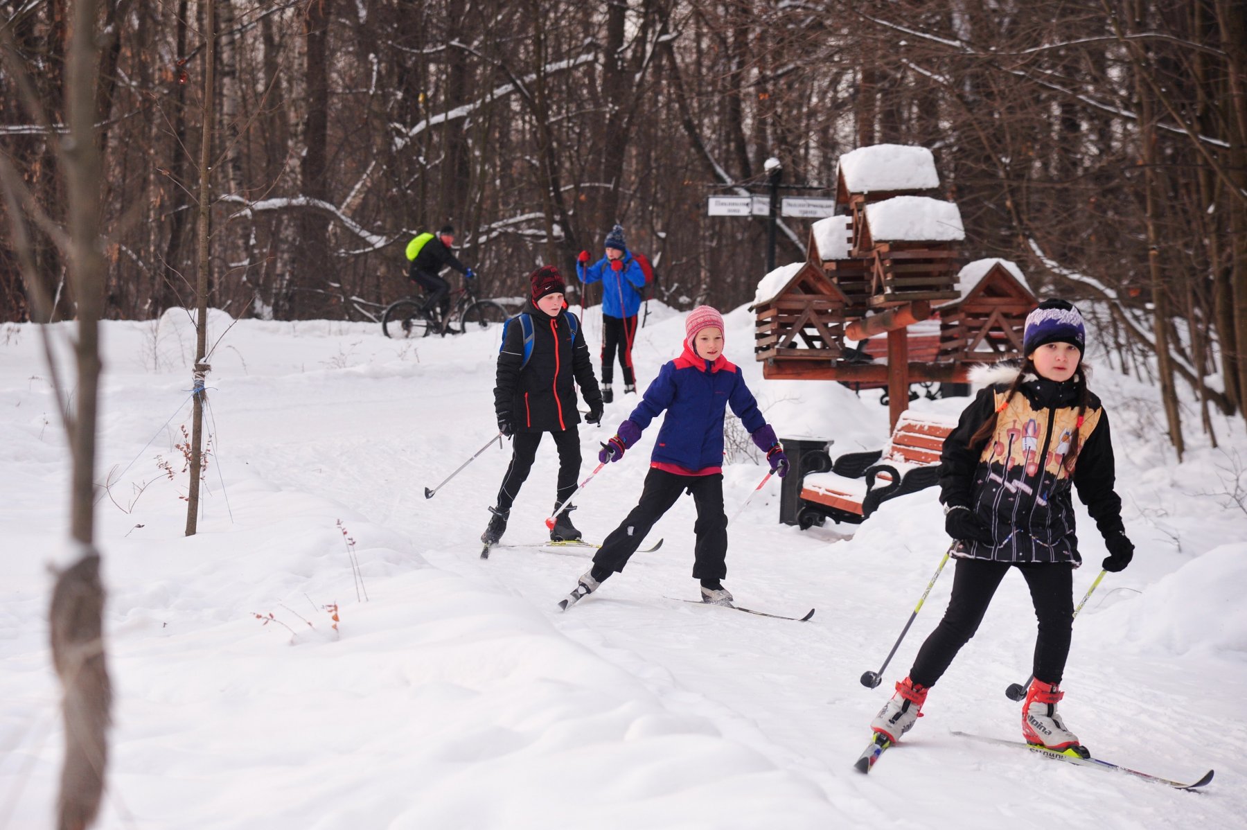 В Детском Черкизовском парке обустроят лыжню