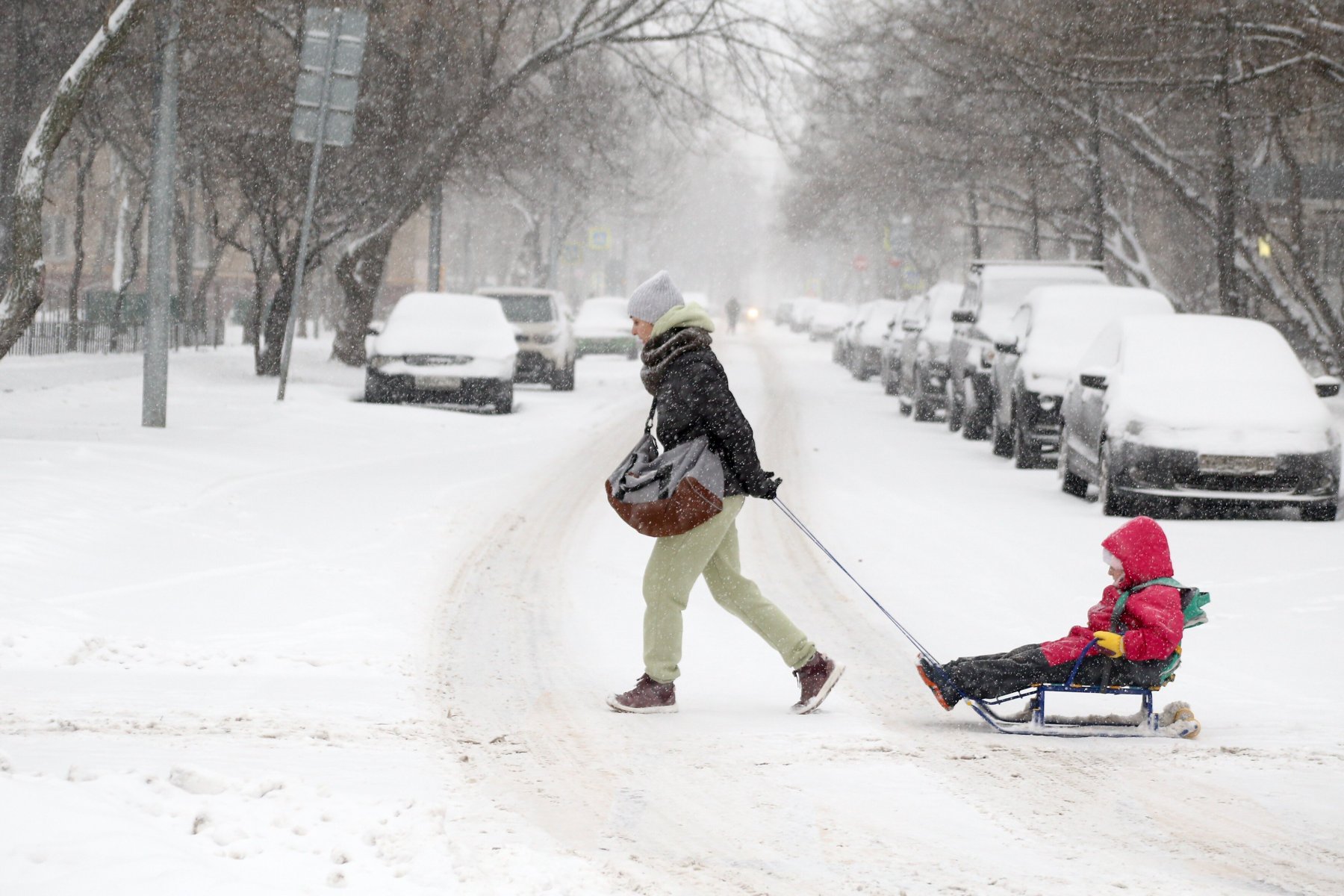 В Москве за сутки может выпасть 15 см снега