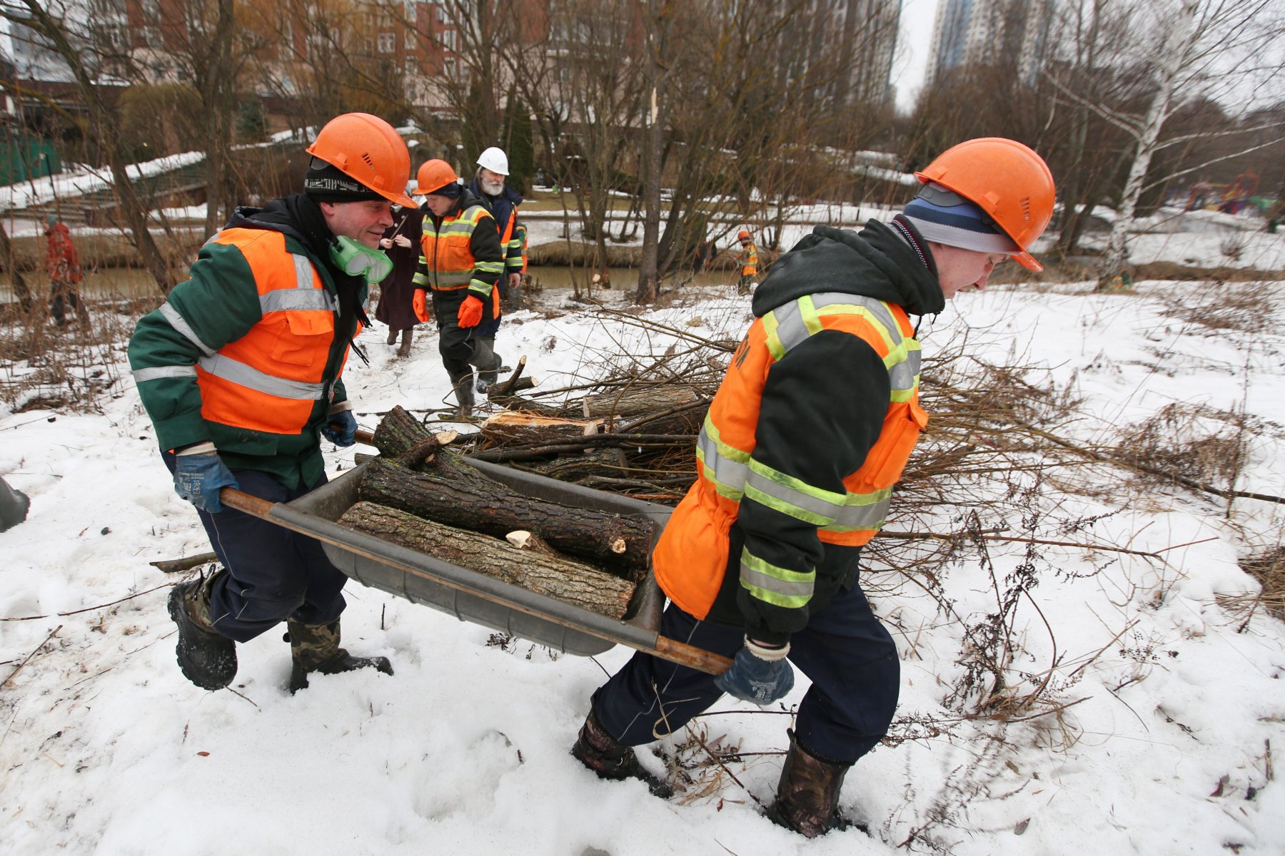 В Московской области за минувшую неделю устранили 772 нарушения чистоты и порядка
