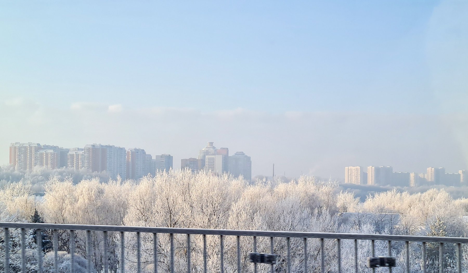 В Москве и Подмосковье ожидается до 12 градусов мороза
