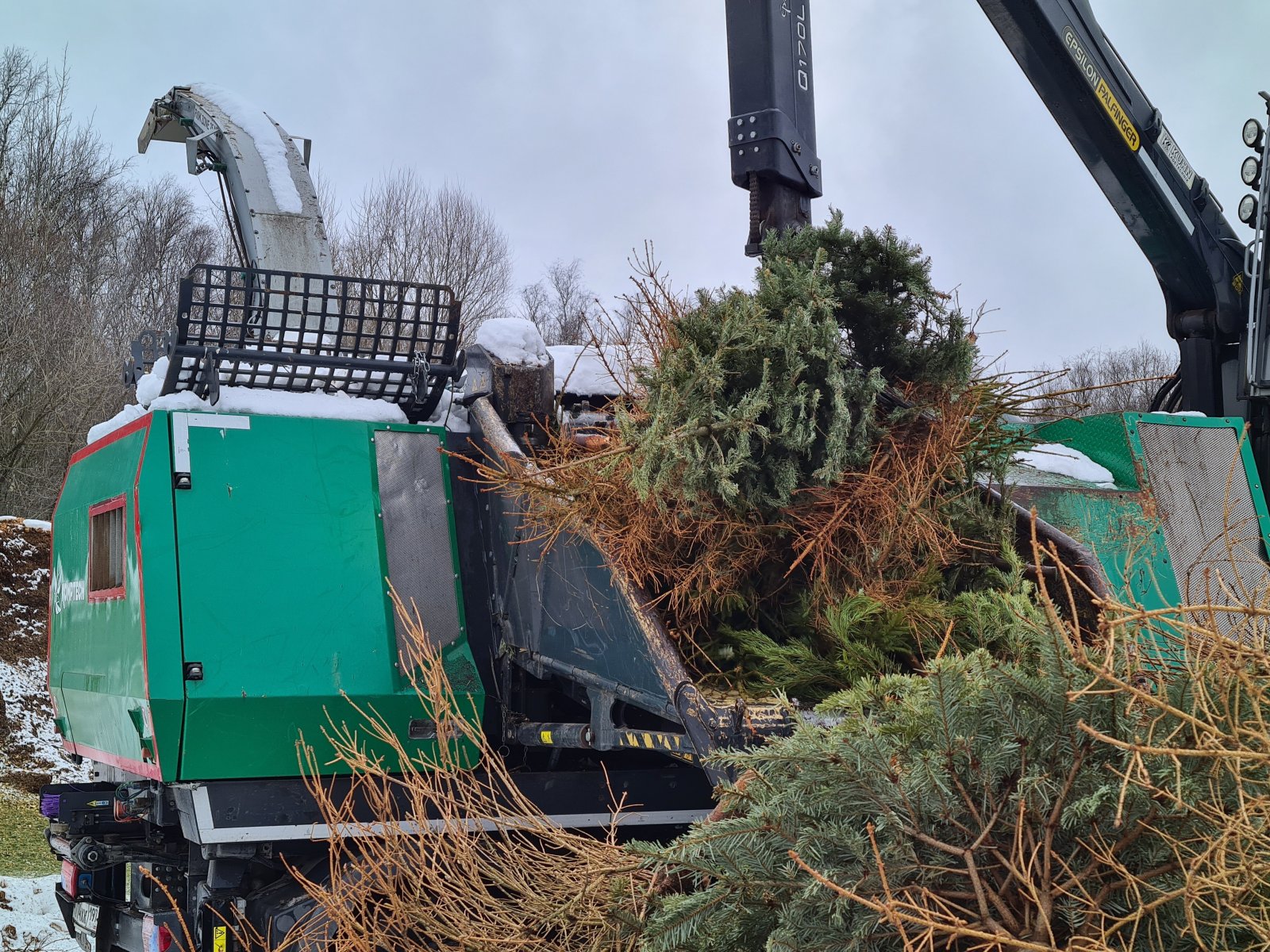 В Подмосковье за 10 дней акции «Подари вторую жизнь елке» на переработку сдали порядка 20 тысяч деревьев
