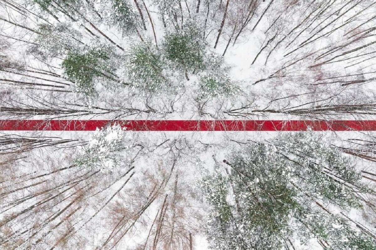 В одинцовском парке Малевича открылся лэнд-проект художников «Белый лес» 