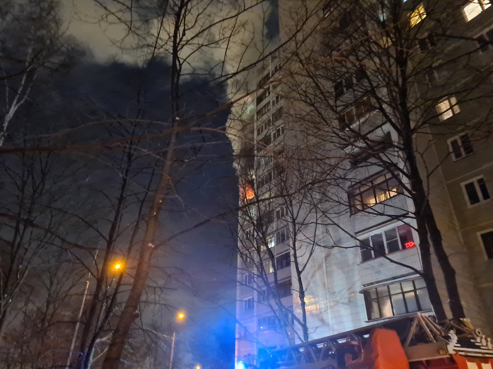 Пожилая женщина и ее сын погибли при пожаре в Москве