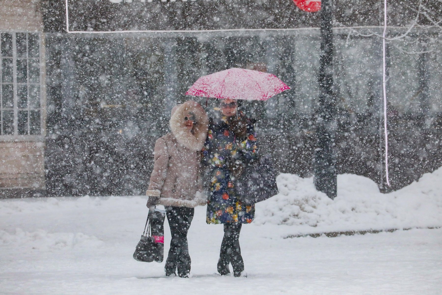 Декабре выпадет снег. Снегопад в Москве. Мокрый снег в Москве. Дождь со снегом в Москве. Обильный снегопад в Москве.