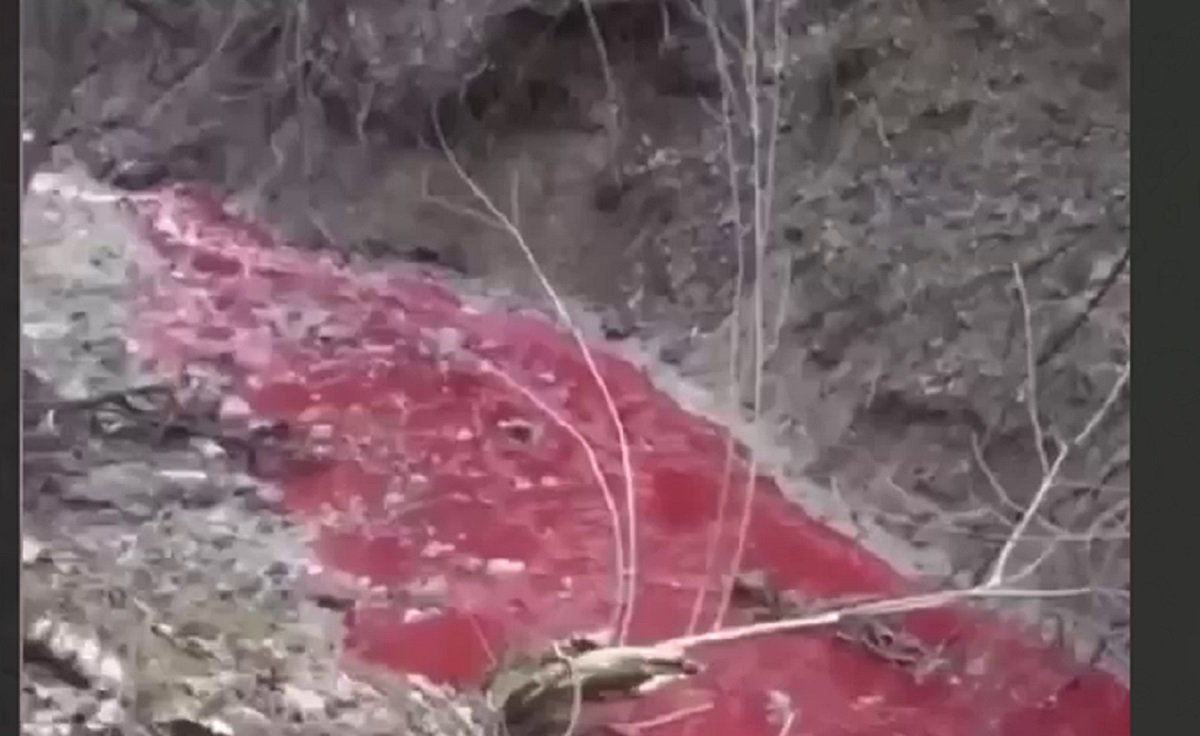Бывает красная река. Кровавпя река в Росси. Красная река в России. Река окрасилась в красный. Река красного цвета в России.