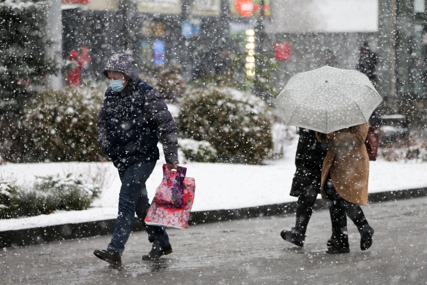 Мокрый снег ожидается в Москве и Подмосковье на текущей недели