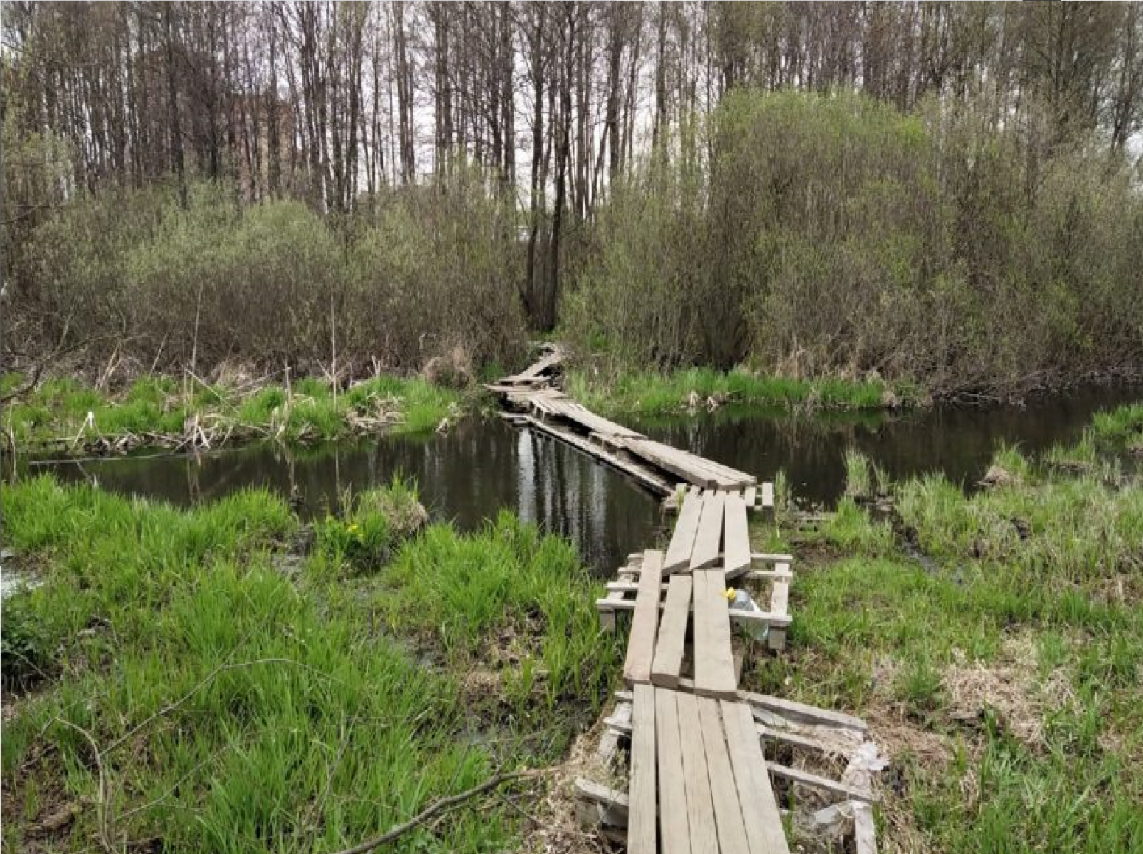 «Боимся утонуть в болоте»: жители подмосковного Железнодорожного  пожаловались на неисправный мост :: Вести Подмосковья