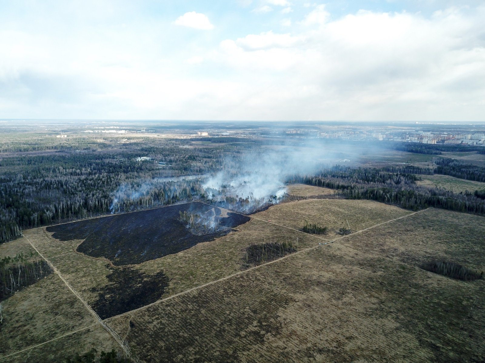 С начала мая на территории лесного фонда в Подмосковье ликвидировано 24 пожара