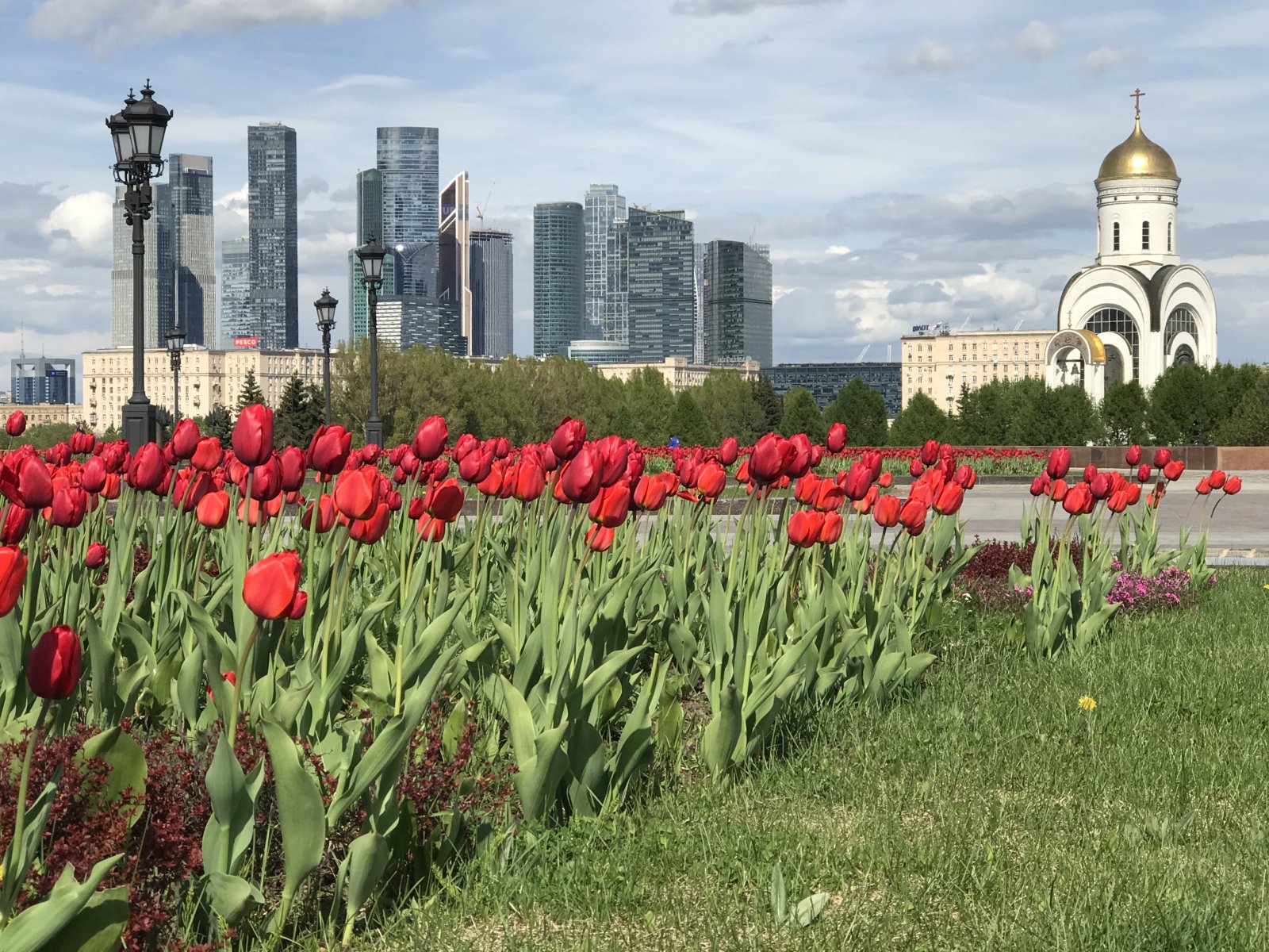 Потепление в Москву и Подмосковье придет 22 мая