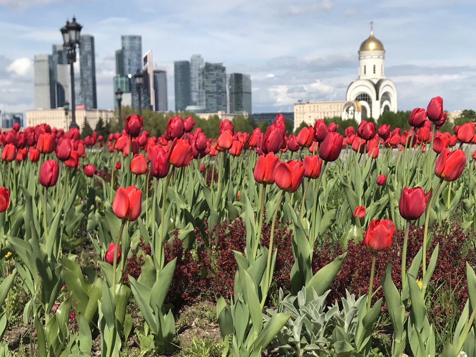 Погода в Москве вернется к климатической норме в конце мая 