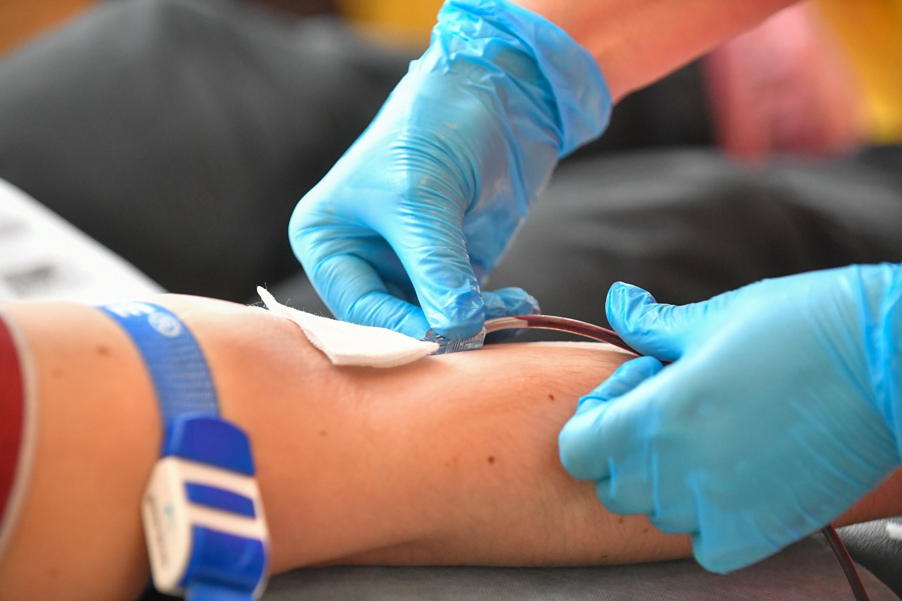Число доноров крови в Подмосковье ежегодно увеличивается на 15% 