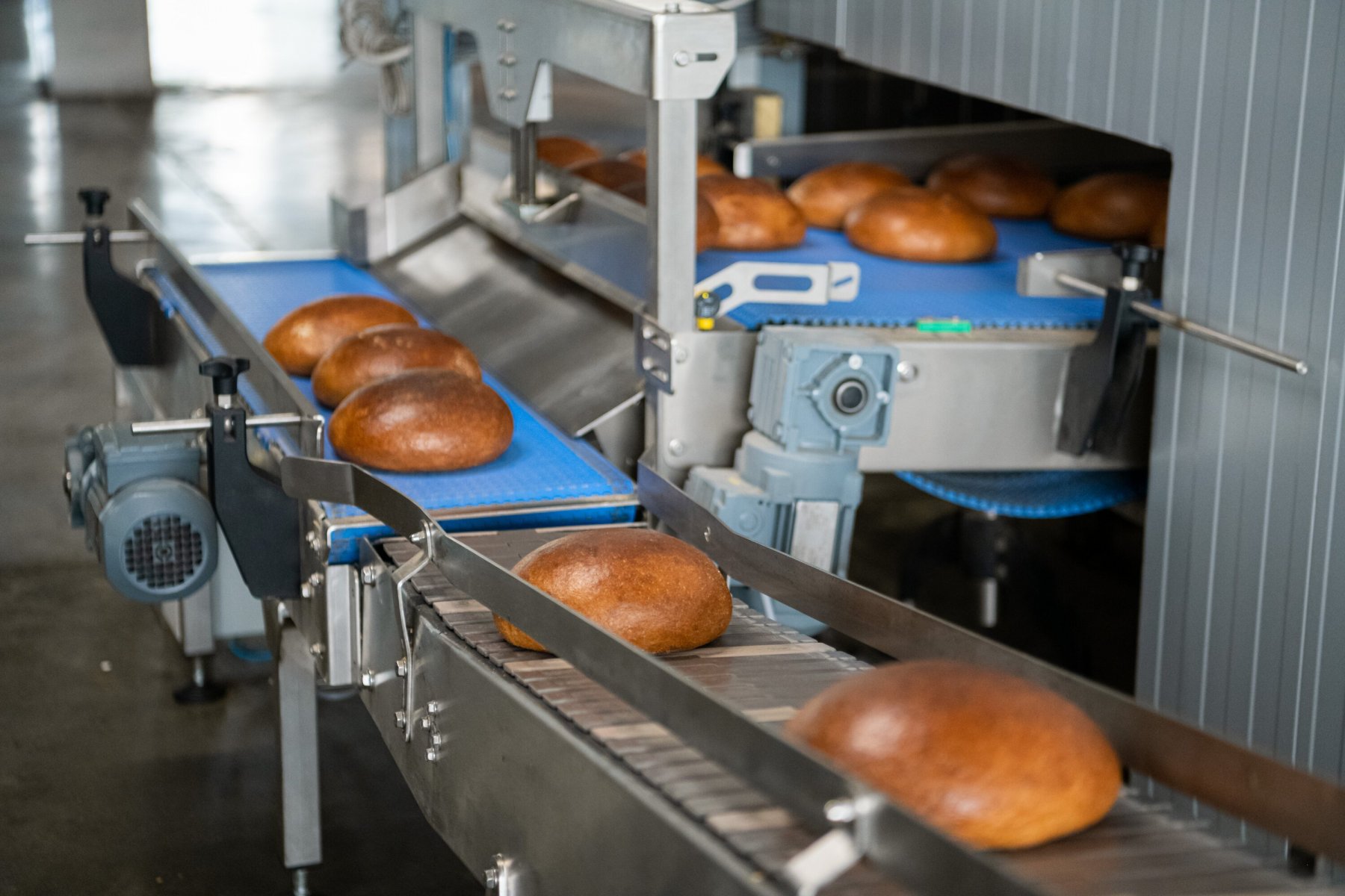Цех по производству хлеба в Щёлкове сможет выпускать до 4 тысяч батонов в сутки