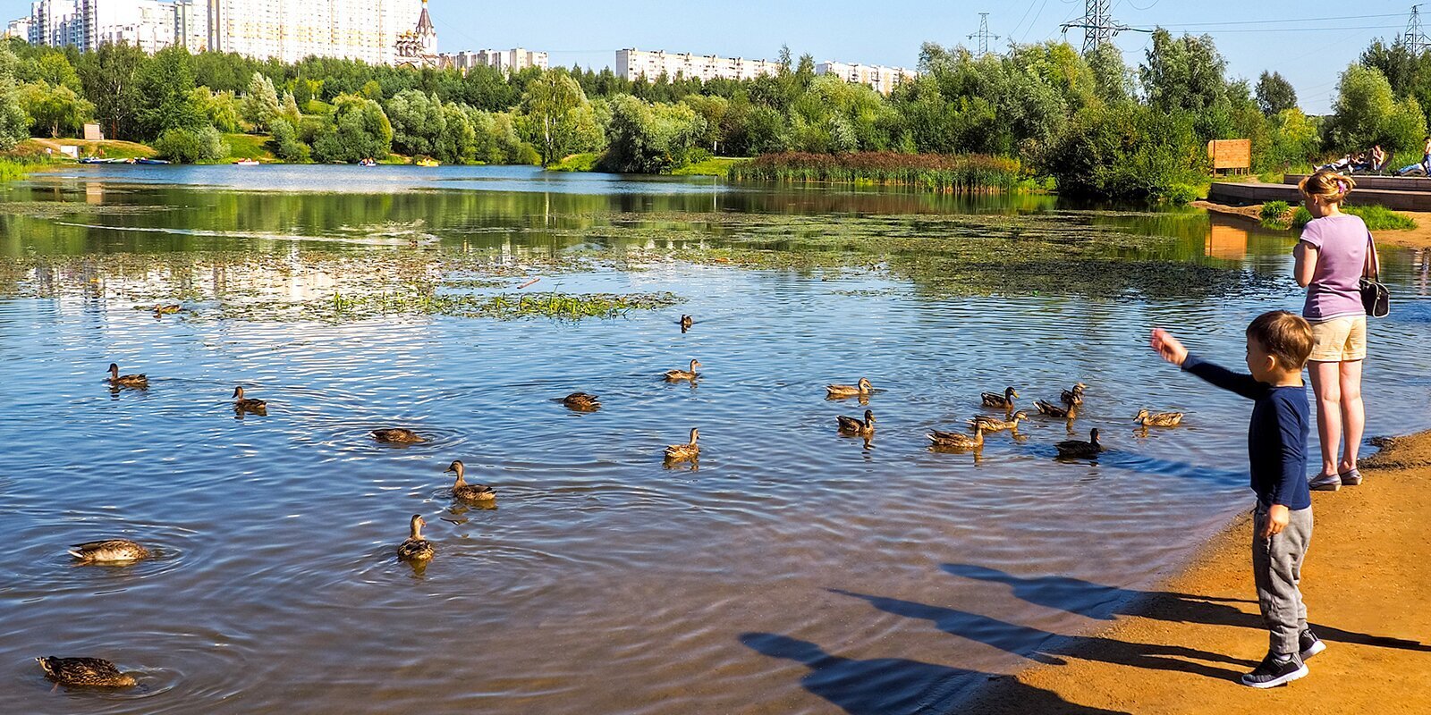 Москвичи выберут лучший пляж в городских парках 