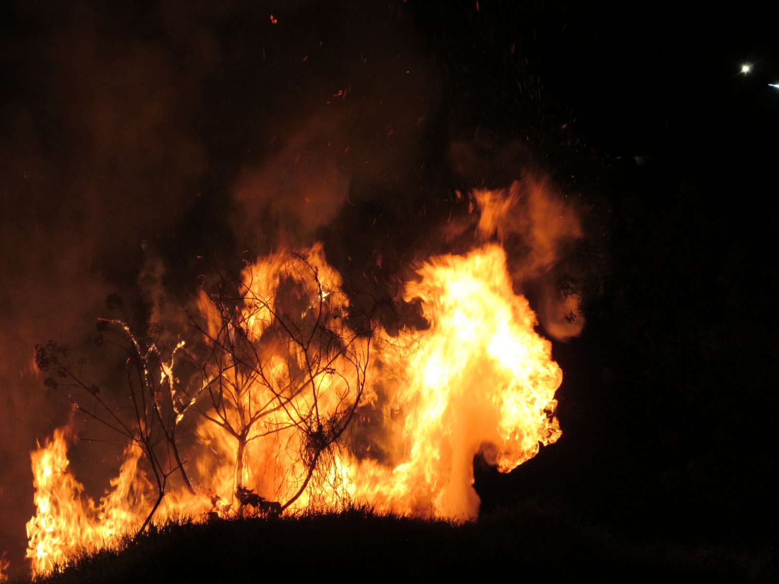 За три дня июля в лесохозяйствах Подмосковья потушено восемь пожаров 