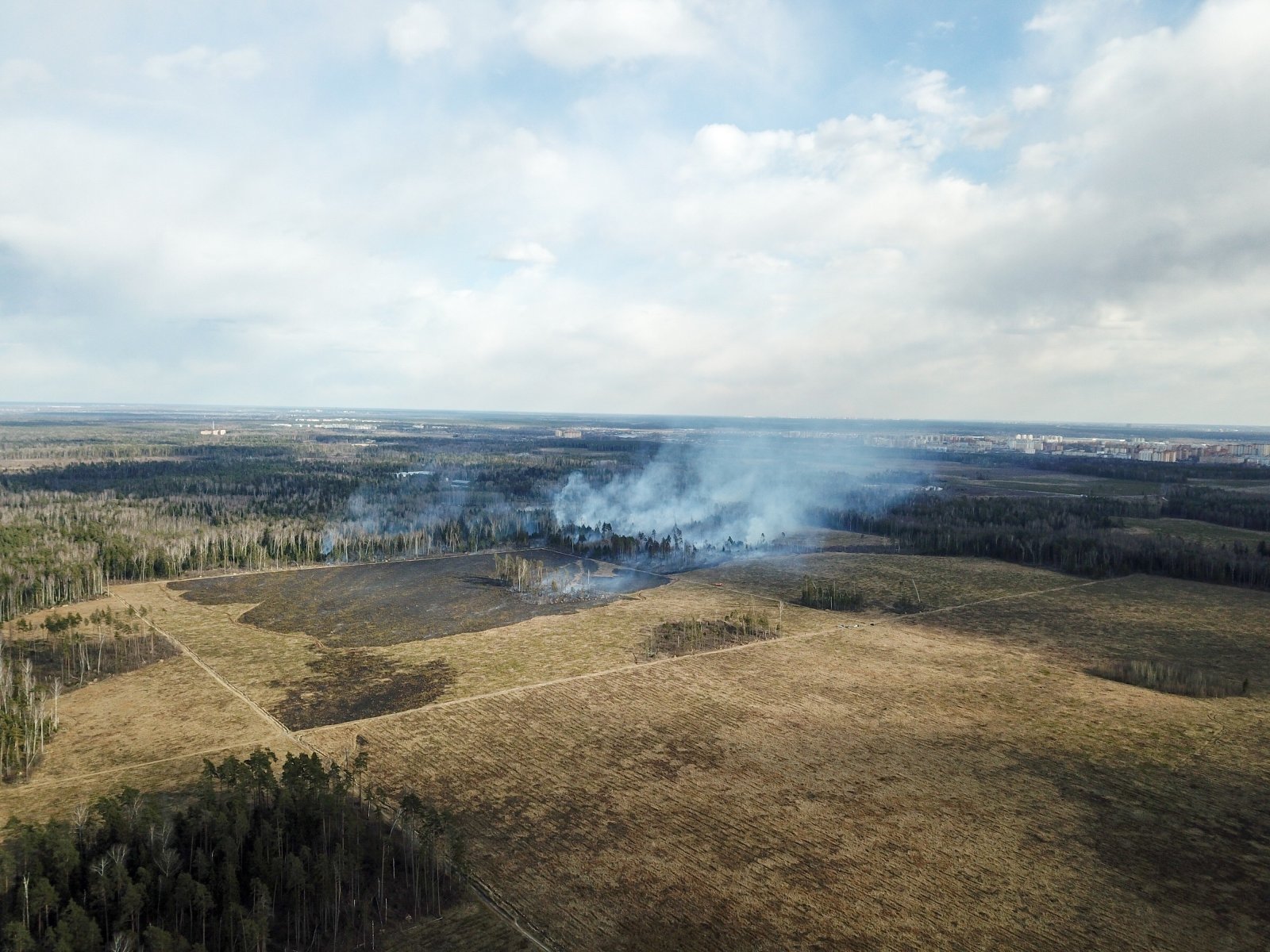 За сутки в Московской области ликвидировано три лесных пожара 