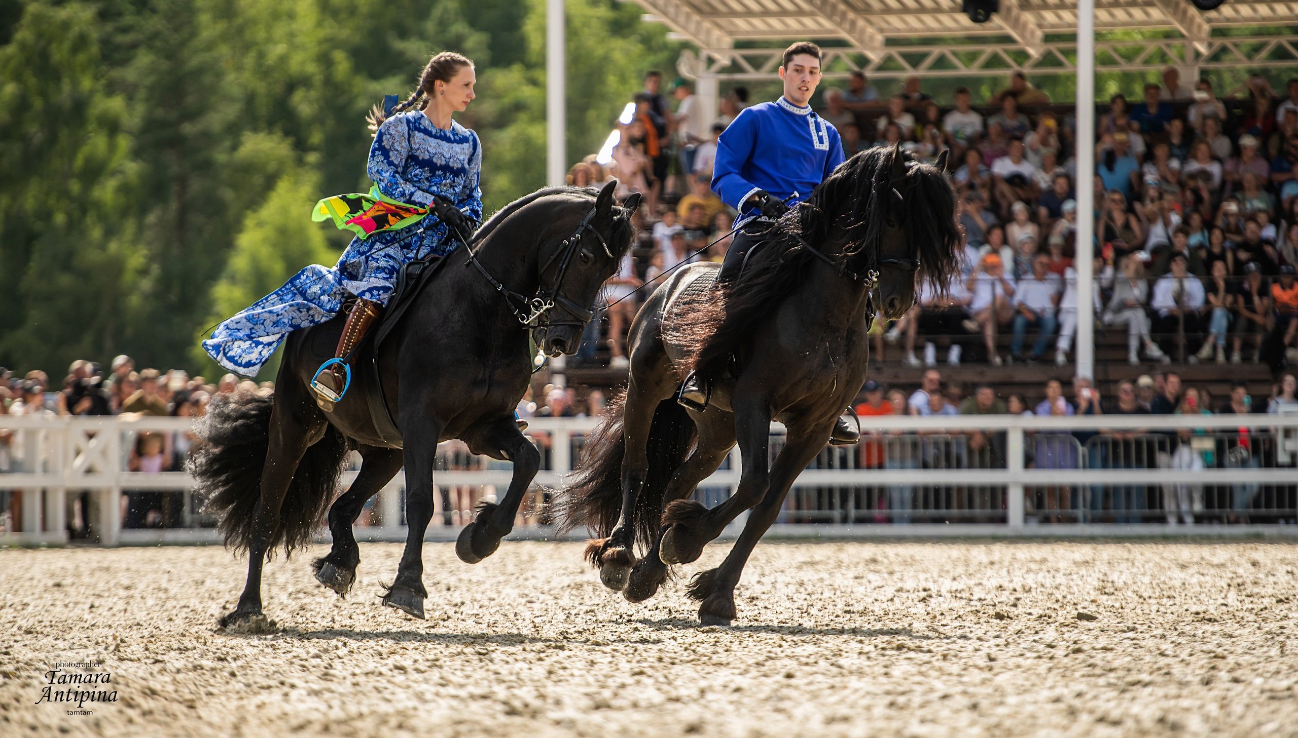 Порядка 17 тысяч любителей лошадей собрались на конном фестивале «Иваново поле» в Подмосковье
