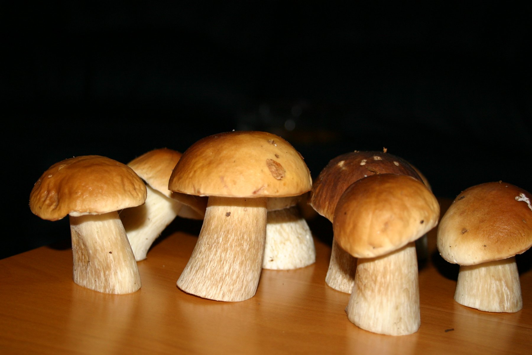 Диетолог предостерег от частого употребления грибов людей с болезнями ЖКТ