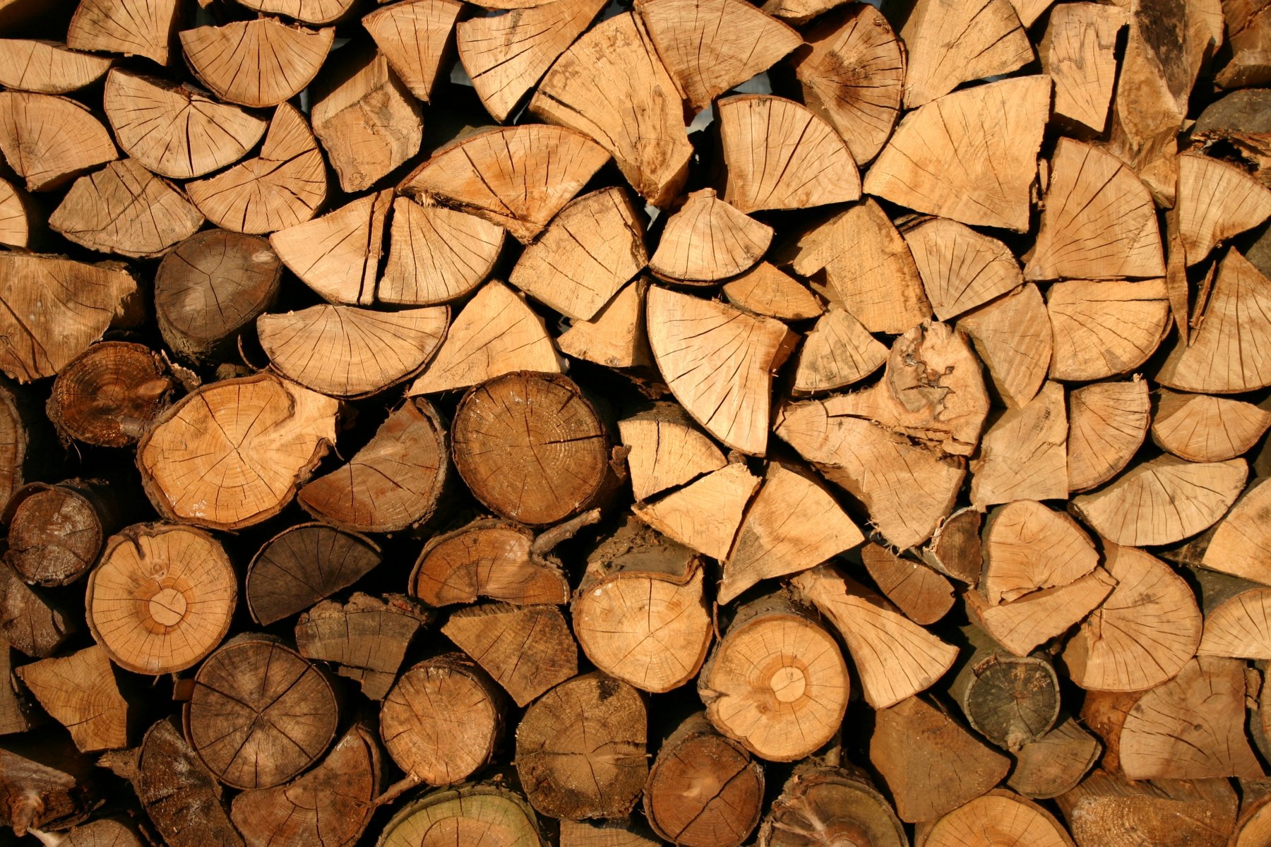 В Молдавии теперь запрещено перевозить древесину по ночам