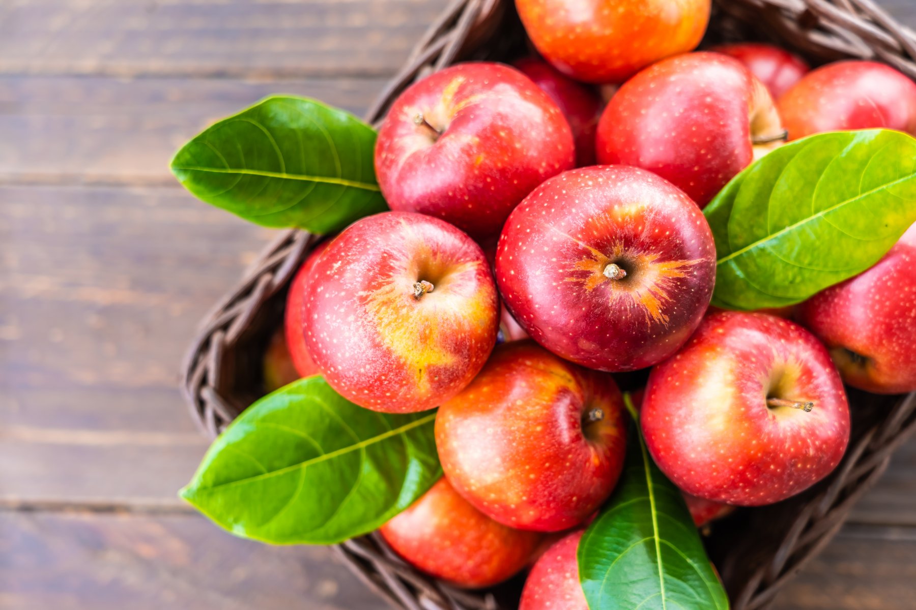 В Коломне 3 сентября состоится фестиваль «Антоновские яблоки» 