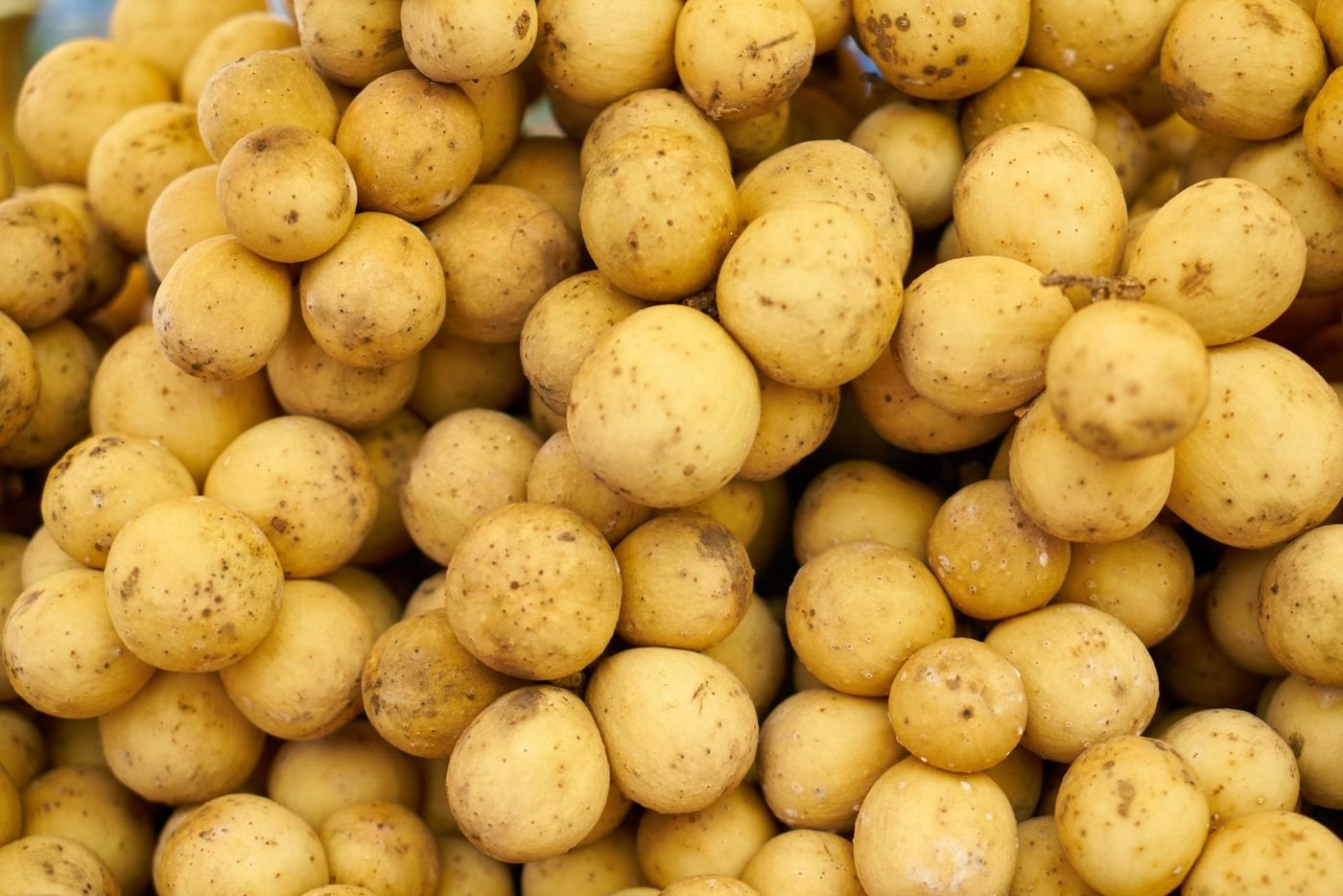 Подмосковье вышло на 70-процентное самообеспечение картофелем – губернатор Московской области