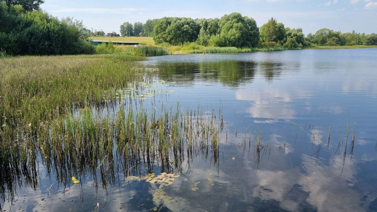 Стартовало голосование по отбору подмосковных прудов для расчистки