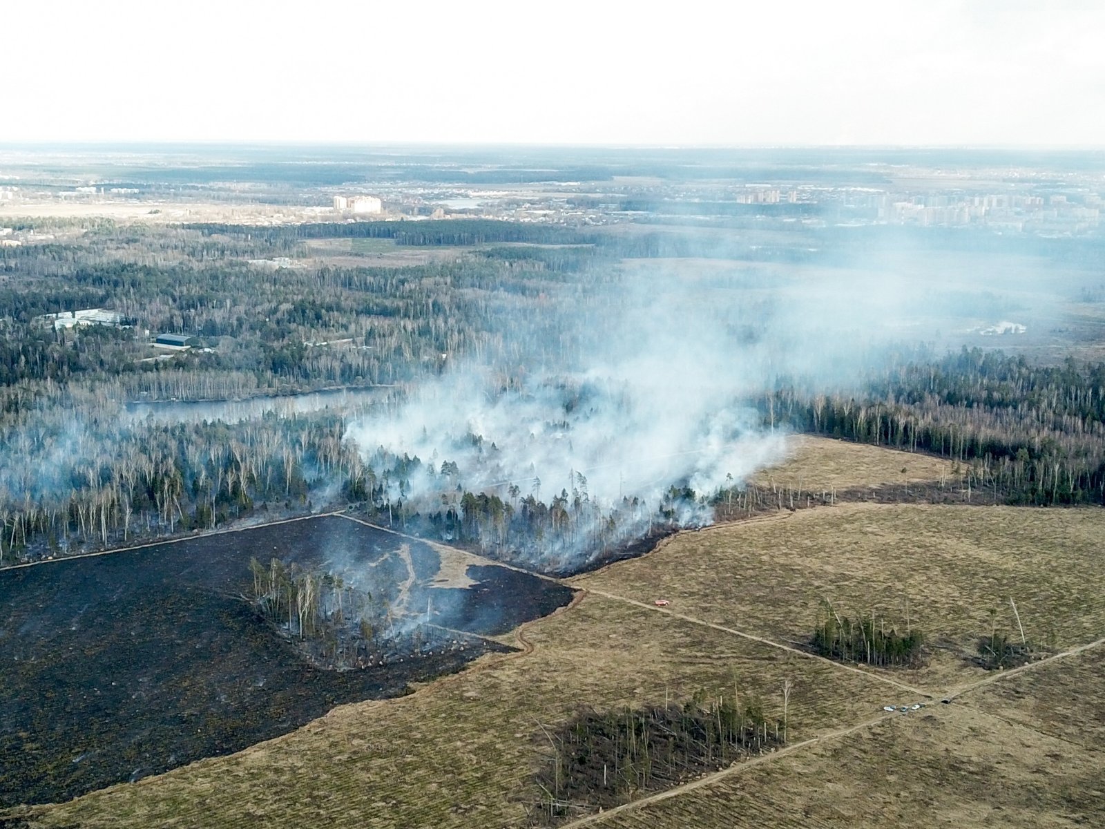 В Подмосковье нормализовалась экологическая ситуация после лесных пожаров в соседних регионах