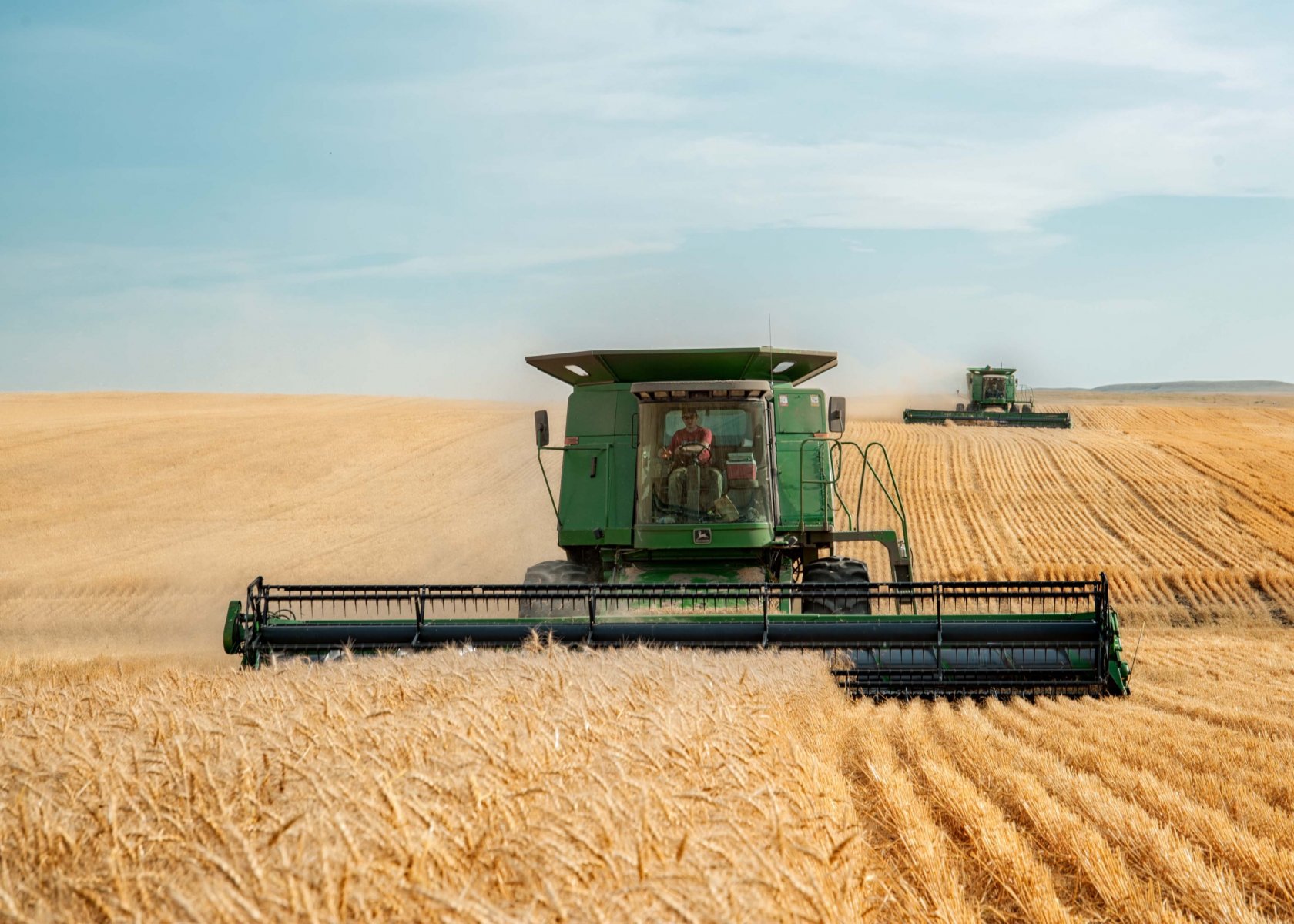 Путин рассказал о поставках пшеницы, ячменя и кукурузы на мировой рынок
