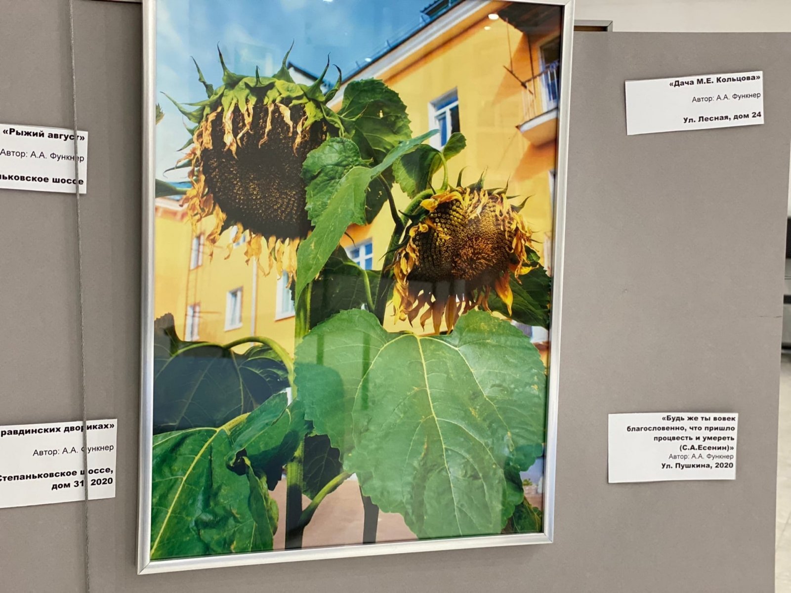 В доме культуры «Правдинский» открылась фотовыставка о временах года