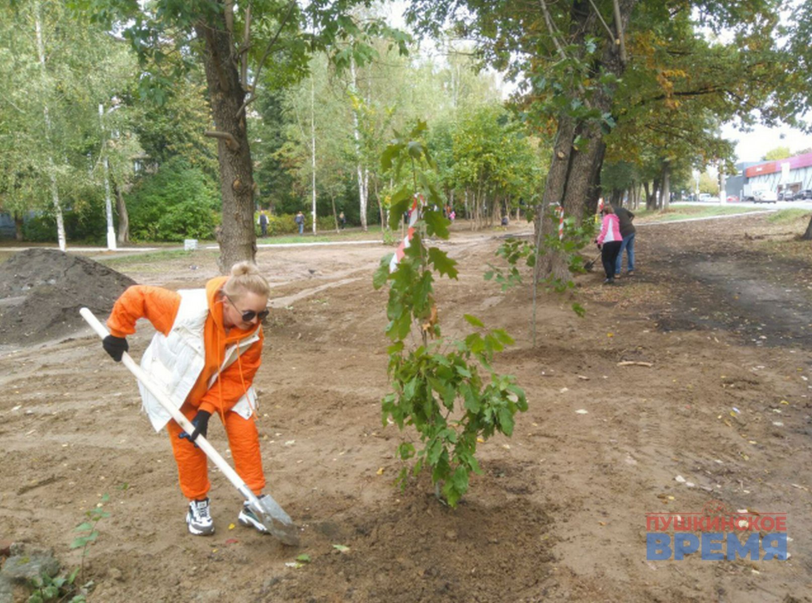 Жители микрорайона Серебрянка в Пушкино занимались озеленением во время субботника 