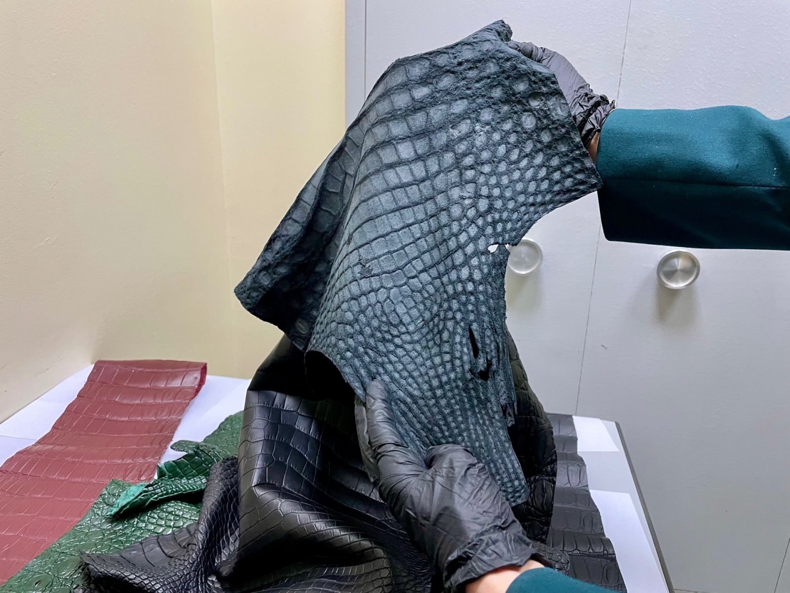 Домодедовские таможенники нашли шкуры рептилий у пассажира из ОАЭ