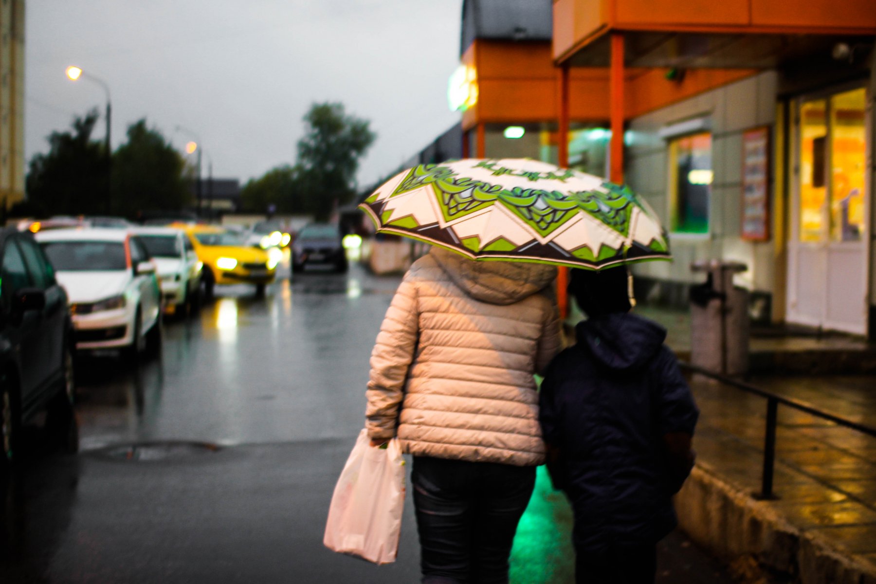 В московском регионе отмечается аномалия дождей – синоптик Евгений Тишковец