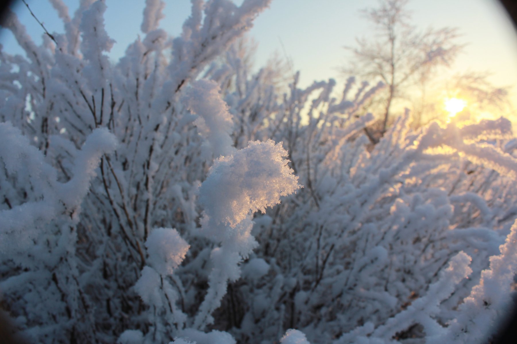 Снежок 1 выпавший ночью. Первый снег в Волоколамске. Первый снег выпал в Подмосковье,. Первый снег выпал около речки. Подмосковье снег в ночь на 27.10.22.