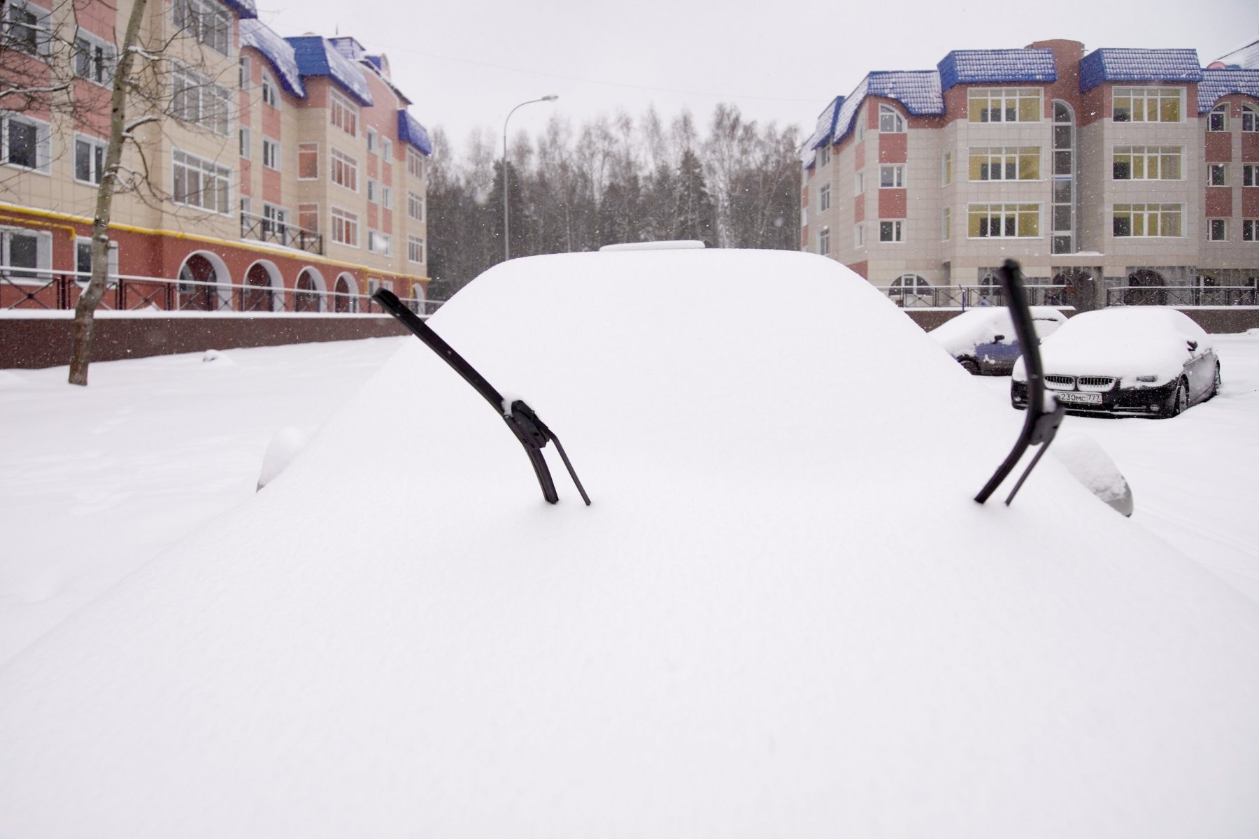 Автоэксперт напомнил россиянам, как не допустить примерзания двери машины