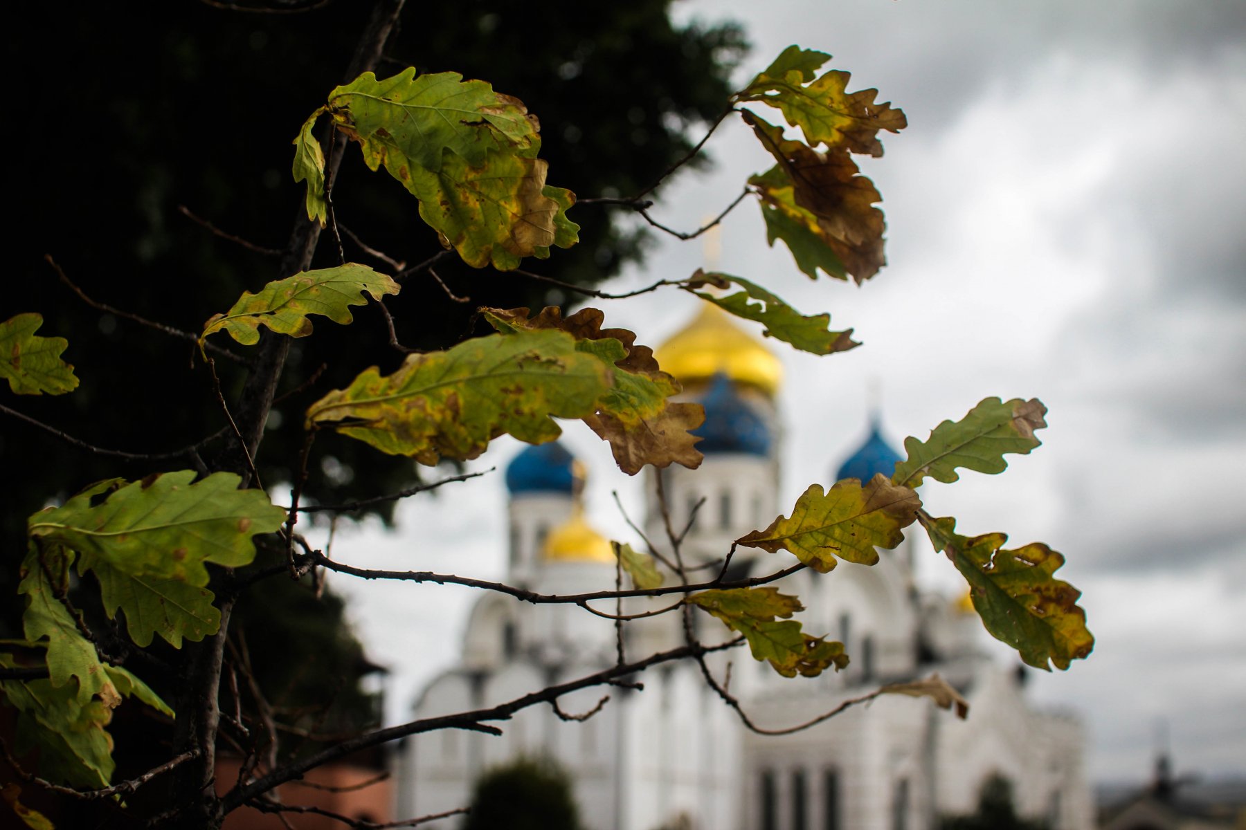 В подмосковном Орехово-Зуево в 2023 году построят храм при роддоме :: Вести  Подмосковья