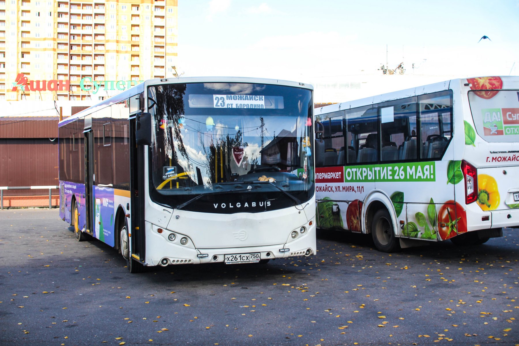 Автобусами до СНТ Подмосковья за сезон воспользовались более 730 тысяч раз