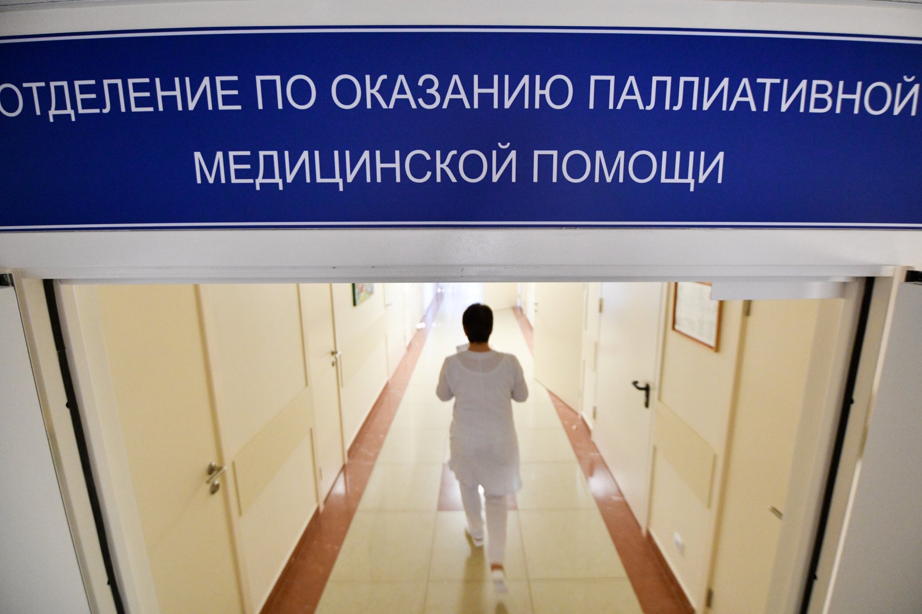 На развитие паллиативной помощи из бюджета Подмосковья отчислят более 1 млрд рублей