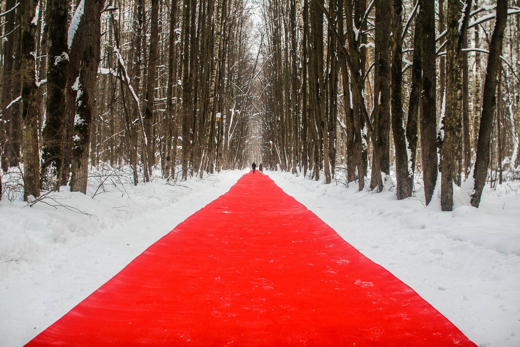 Мероприятия проекта «Зима в Подмосковье» начинаются 1 декабря