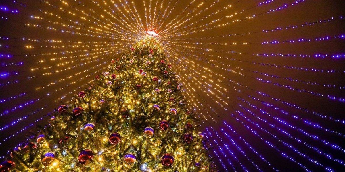 Главную елку в Кашире зажгут 3 декабря