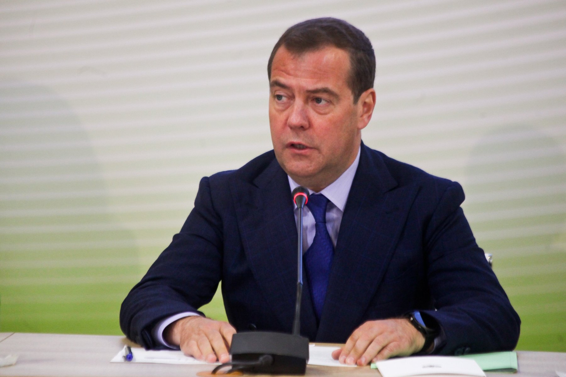 Медведев заявил о необходимости защищать российских граждан