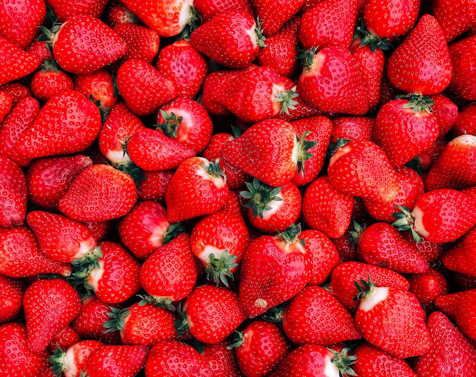 Кашира стала лидером в Московской области по объему производства ягод