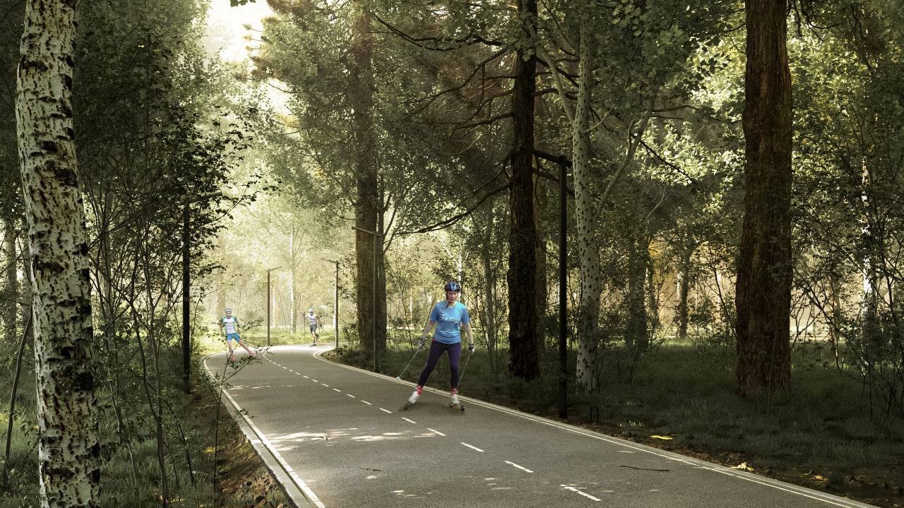 Лыжероллерная трасса появится в Дубровицком лесопарке Подольска осенью 2023 года 