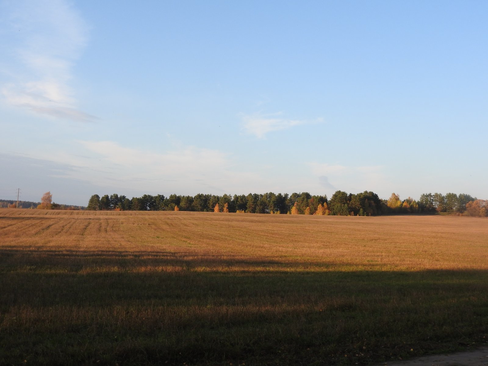 В этом году Клин занял второе место в области по вводу в оборот неиспользуемых земель сельхозназначения