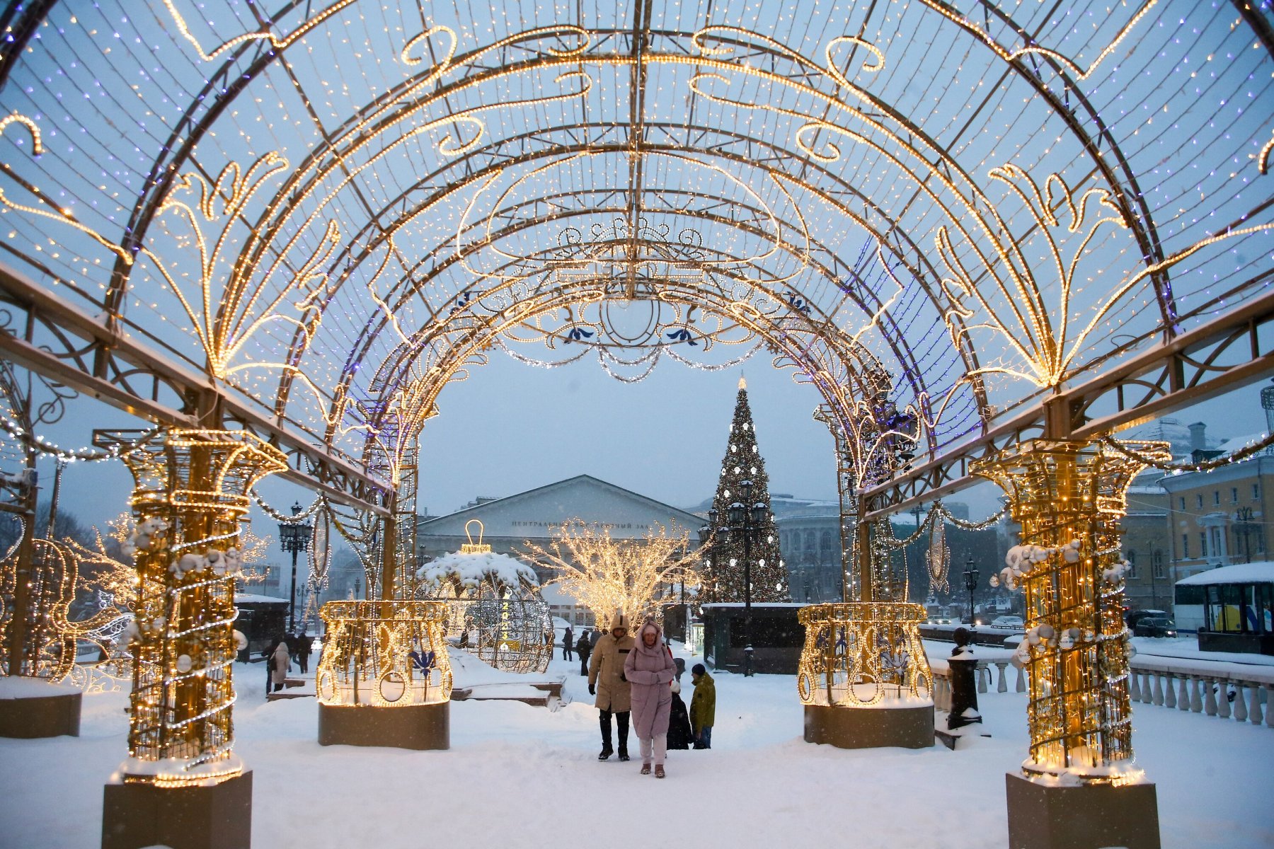 сад баумана в москве